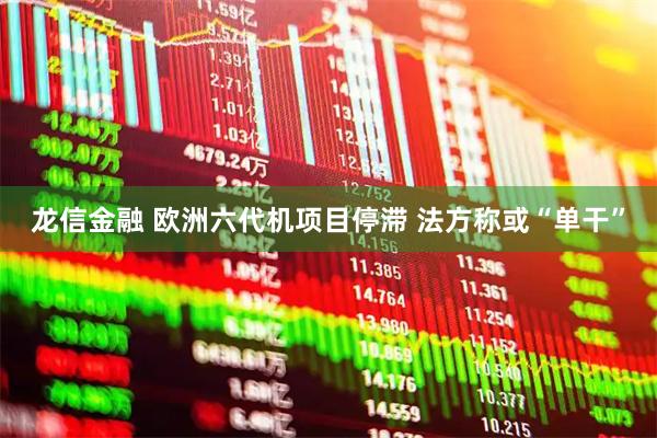 龙信金融 欧洲六代机项目停滞 法方称或“单干”