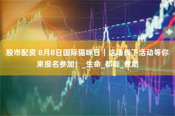 股市配资 8月8日国际猫咪日｜这场线下活动等你来报名参加！_生命_都能_救助