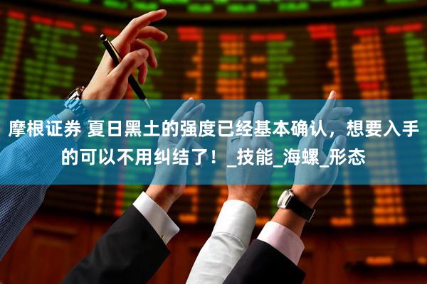 摩根证券 夏日黑土的强度已经基本确认，想要入手的可以不用纠结了！_技能_海螺_形态