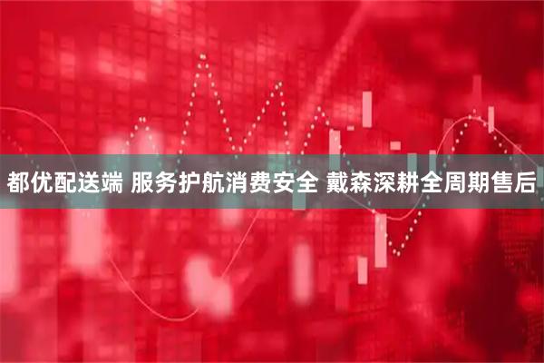 都优配送端 服务护航消费安全 戴森深耕全周期售后